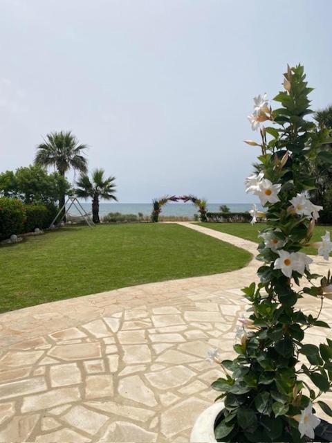 Ionion Beachfront Villa Ayia Napa Exteriör bild