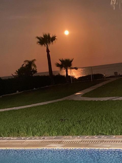 Ionion Beachfront Villa Ayia Napa Exteriör bild