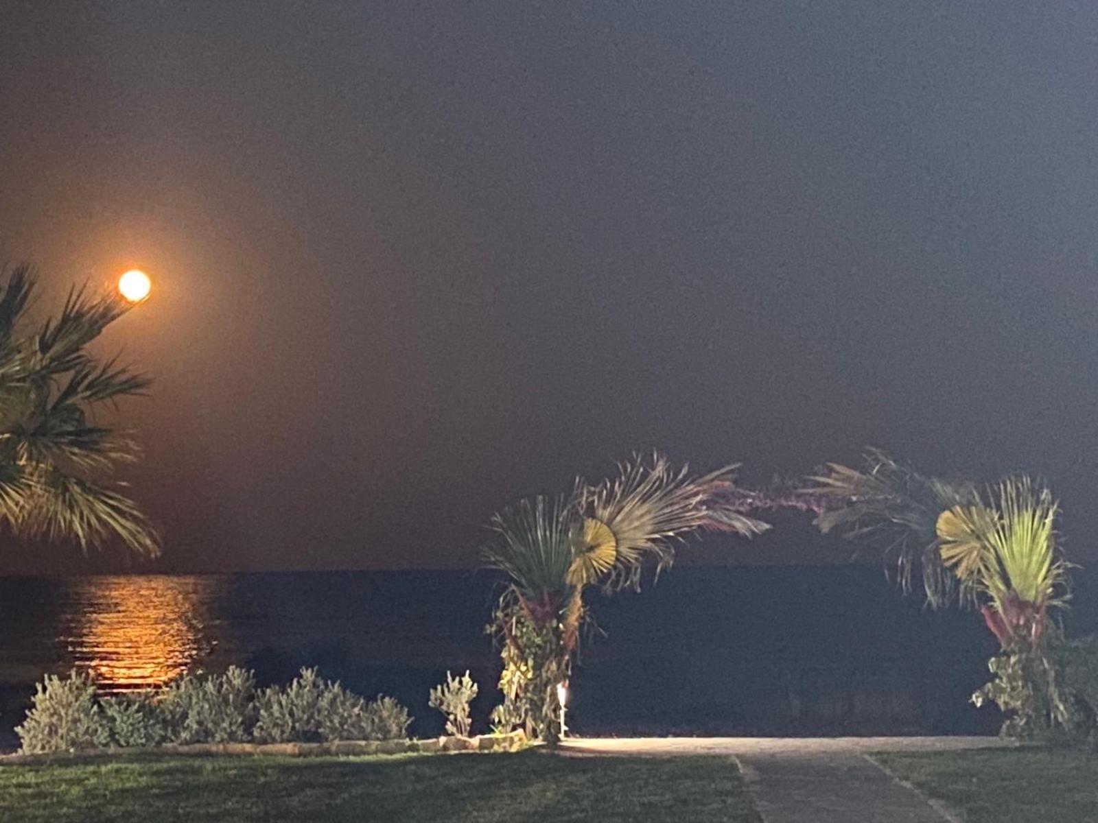 Ionion Beachfront Villa Ayia Napa Exteriör bild