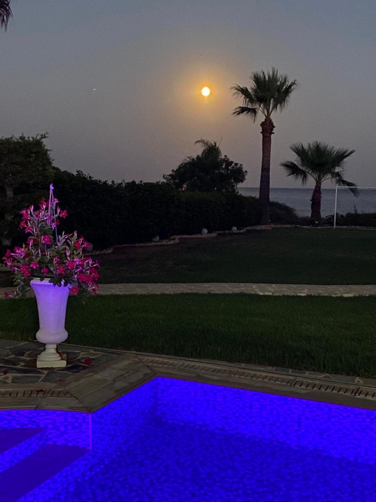 Ionion Beachfront Villa Ayia Napa Exteriör bild